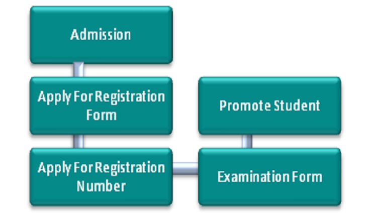 Process Flow